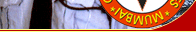 Guard Image